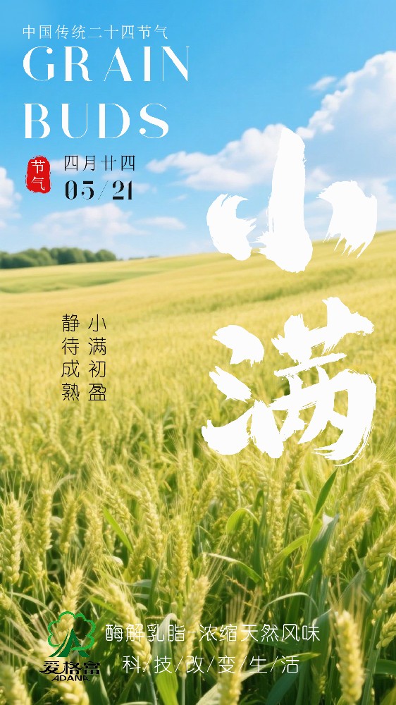 小滿初盈